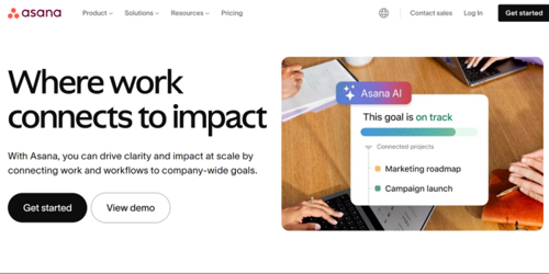 Asana | Saffron Edge